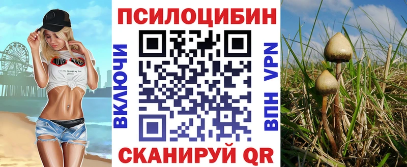mega ONION Вилючинск Галлюциногенные грибы MAGIC MUSHROOMS купить наркотик